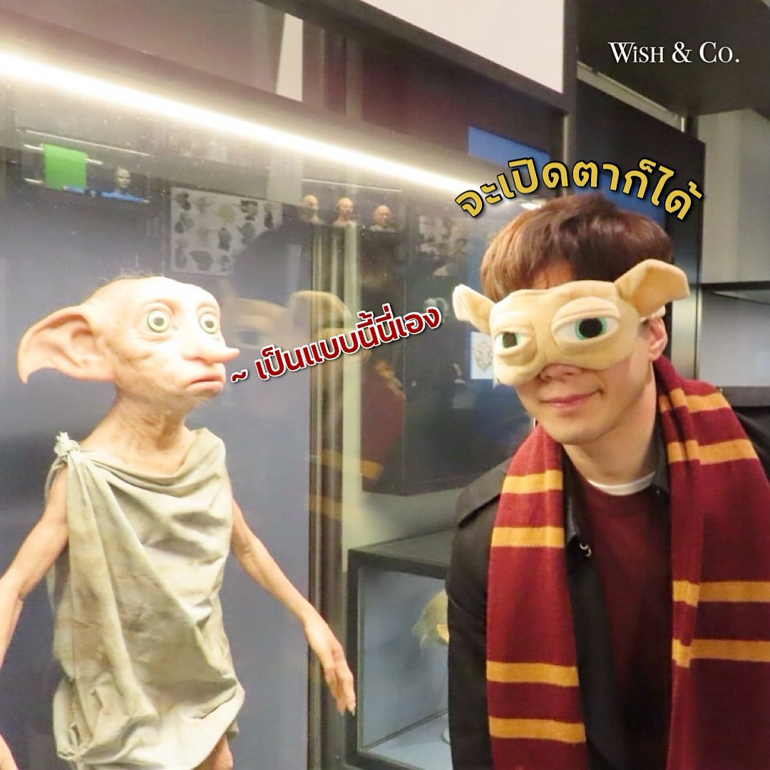 Harry Potter Dobby Sleep Mask